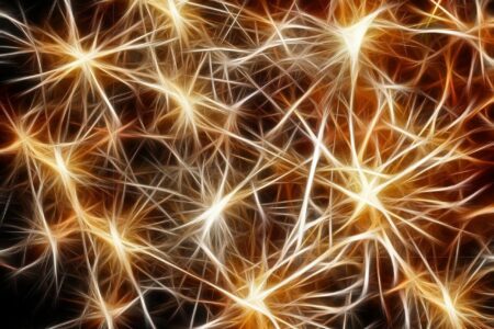 stars, golden, christmas, connection, structure, braid, web, knot, gold, yellow, neurons, connection, connection, connection, neurons, neurons, neurons, neurons, neurons